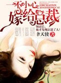 一不小心嫁給總裁