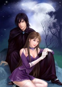 双生恶魔复仇者